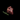COEUR DE BŒUF