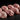 TESTICULE MOUTON