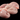TESTICULE-BŒUF