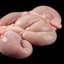 TESTICULE-BŒUF
